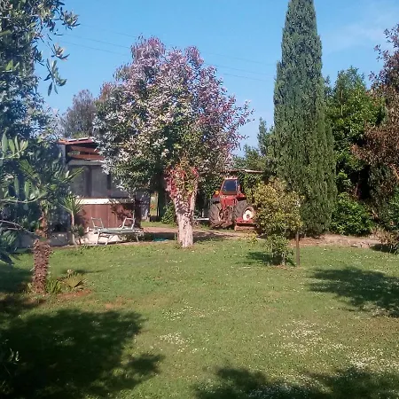 Bed & Breakfast Alice *